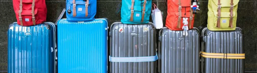 Franquicia de equipaje de ANA _ Política de equipaje _ Cargos por equipaje