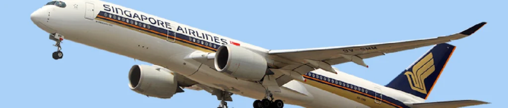 Reserva de las aerolíneas de Singapur