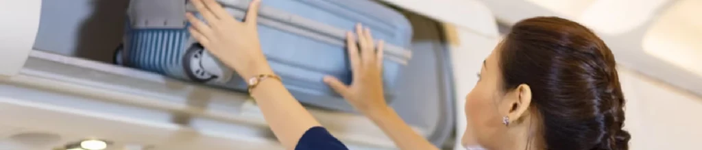 Política de equipaje de Lufthansa