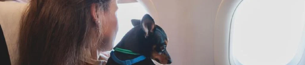 Política de equipaje de Thai Airways